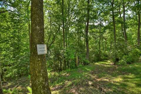 Lt126 Briar Cove, Morganton, GA 30560