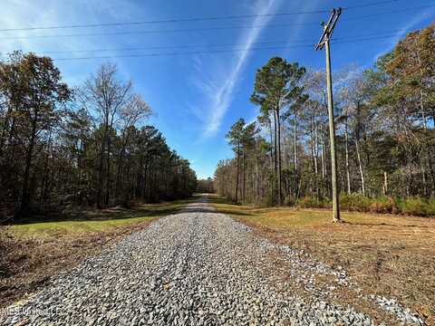 1 Antioch Shiloh Rd, Pelahatchie, MS 39145