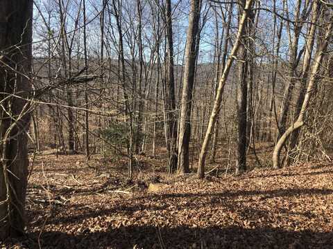 0 East Wildwood Trail, Pineville, KY 40977