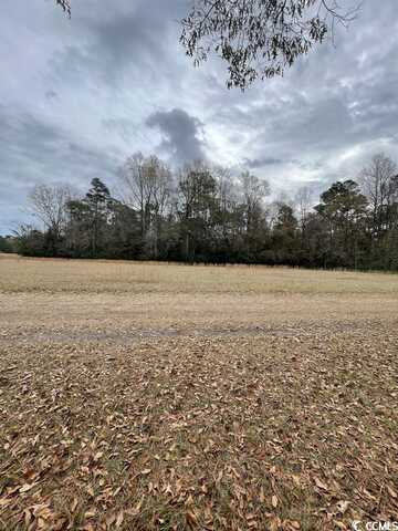 TBD Gurley Rd., Loris, SC 29569