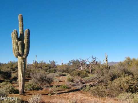 169x4 E Lone Mountain Road, Rio Verde, AZ 85263