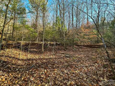 Webb Cove Road, Asheville, NC 28804