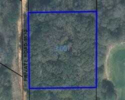 0 Private Road 1539, Midland City, AL 36350