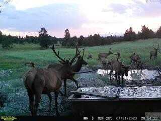 Tbd W Parrott Creek, Roundup, MT 59072