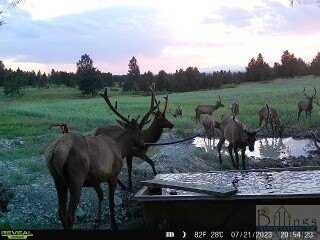 Tbd W Parrott Creek, Roundup, MT 59072