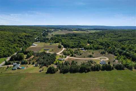 TBD MILLER LOTS 101113151719, ALANSON, MI 49706