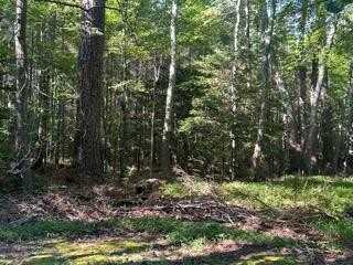 Lot 24 Elm Street, White Stone, VA 22578