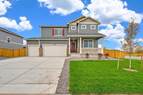 6599 Globeflower Street, Wellington, CO 80549