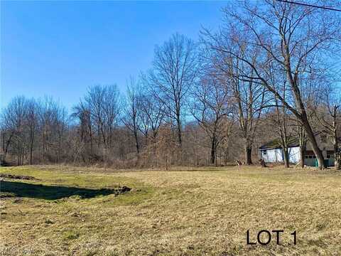 Lot 1 Chamberlin Road, Twinsburg, OH 44087