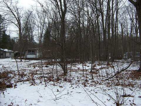 137 Black Bear Circle, Roscommon, MI 48653