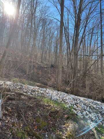 6 AC Peaceful Garden Cemetery Road, Genoa, WV 25517