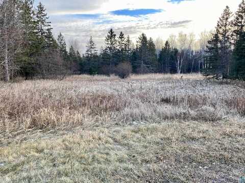 XXX Stanley Rd, Two Harbors, MN 55616