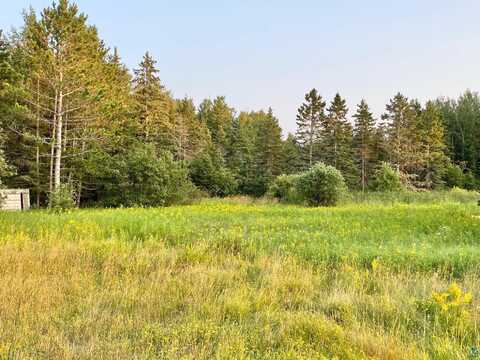 XXX Stanley Rd, Two Harbors, MN 55616