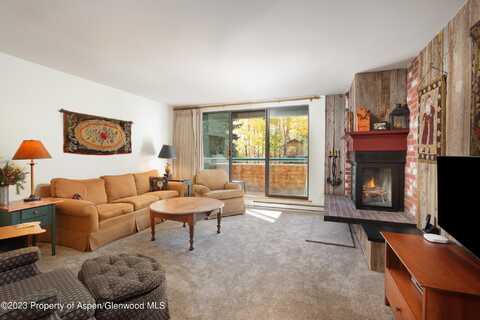 1024 E Hopkins Avenue, Aspen, CO 81611