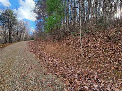 125 Lasso Lane, Waynesville, NC 28785