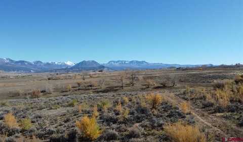 TBD 5 3400 Road, Crawford, CO 81415