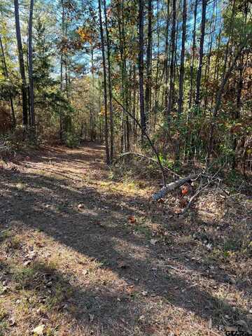 331 Red Maple Rd, Gilmer, TX 75644