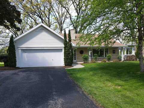 Chestnut, WINDSOR, WI 53598