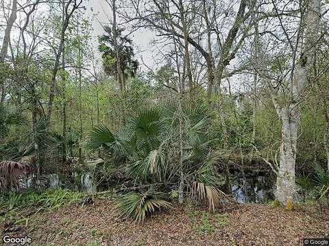 Corkwood, ASTATULA, FL 34705