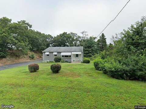 Ivy, BRANFORD, CT 06405