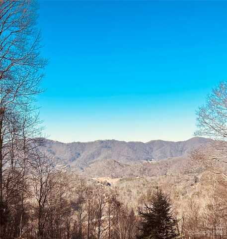 94 Bucks Ridge, Clyde, NC 28721