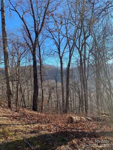 Wash Freeman Road, Hendersonville, NC 28792