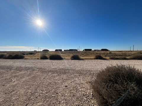 1395 Widgeon Road, New Home, TX 79381