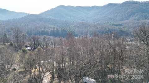 20 Red Berry Trail, Swannanoa, NC 28778