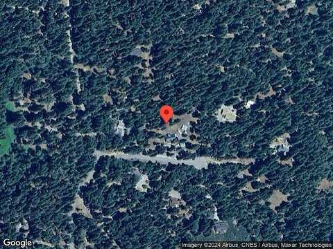 White Fir, SHINGLETOWN, CA 96088