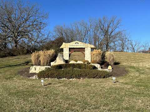 Lot #4 Lone Star Drive, Nixa, MO 65714