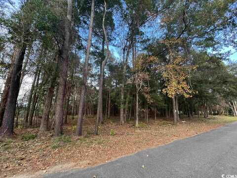 Lot 13 Comanche Dr., Georgetown, SC 29440