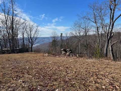 0 River View Ct, South Pittsburg, TN 37380