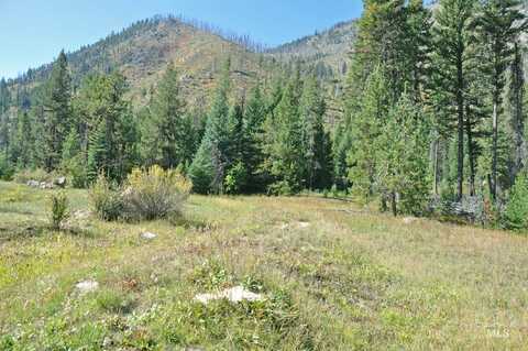 Tbd Johnson Creek Road, Yellow Pine, ID 83677