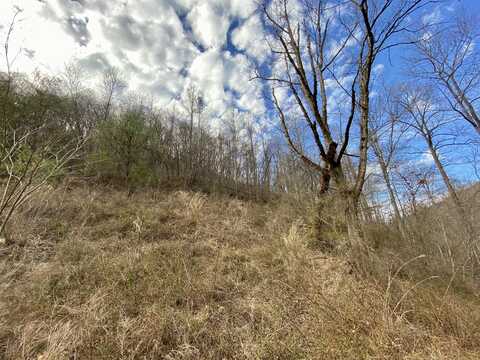 1344 Potato Branch Road, Topmost, KY 41862