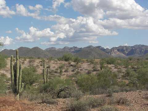 343xxx N THIRSTY EARTH Trail, Fort McDowell, AZ 85264