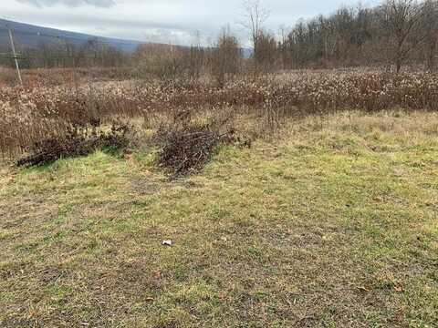 Lot #5 E. Pleasant Valley Blvd., Stad Drive, Bellwood, PA 16617