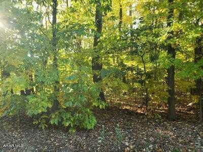 Lot 12 Fair Valley Road, Martinsburg, PA 16662