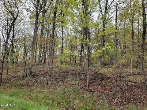 Lot 30 Ivyside Estates Lane, Altoona, PA 16601