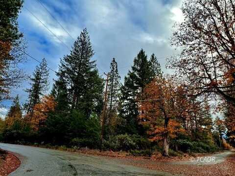 291 Oliva Dr, Hayfork, CA 96041