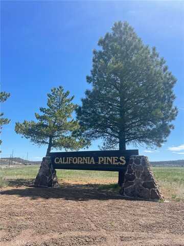 0 Yellow Pine Drive, Alturas, CA 96101