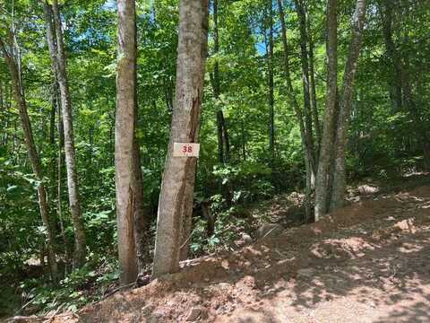 Lot 38 Waiteville Rd, Waiteville, WV 24984