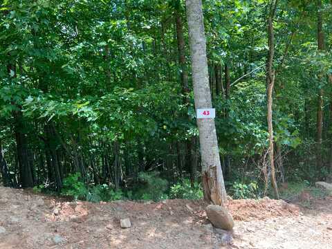 Lot 43 - Waiteville Rd, Waiteville, WV 24984