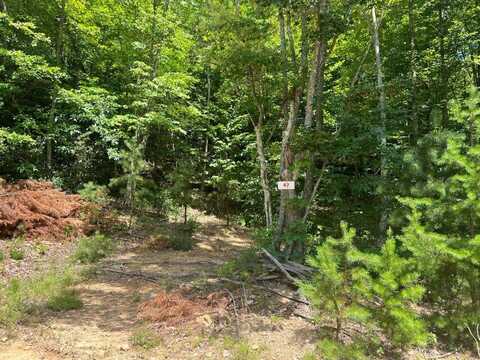 Lot 47 Waiteville Rd, Waiteville, WV 24984