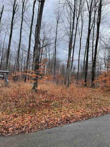 Lot 10 High Pines, Boyne City, MI 49712