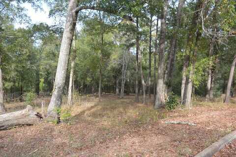 TBD Meriwether Road, Enterprise, AL 36330