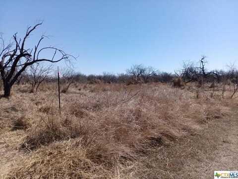 0 Deer Path, Sandia, TX 78382