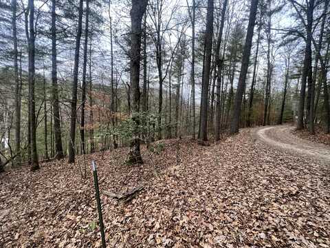4 Pine Forest Road, Campton, KY 41301