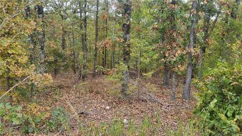 Lot 24, Block 1 Cromarty DR, Bella Vista, AR 72715