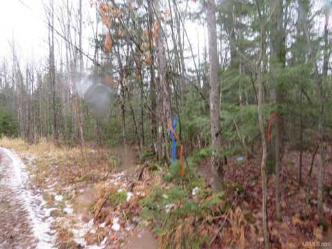 TBD Off Firesteel Road, Ontonagon, MI 49953