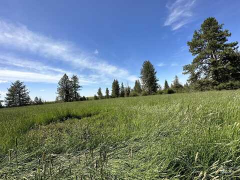 Tbd Lukes Gulch Parcel C, Grangeville, ID 83530